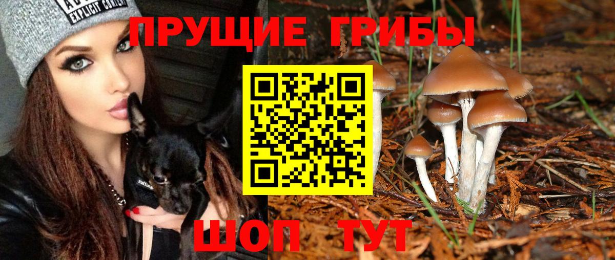 Галлюциногенные грибы Magic Shrooms Электросталь